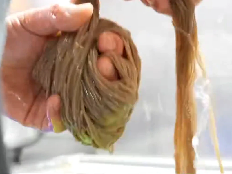 삶은 메밀면을 찬물에 헹궈 손으로 건져 올리는 모습